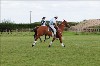 UKPA  NC Sat_1209